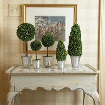 Boxwood Leaf Green Topiary/1 Ball (Preserved)