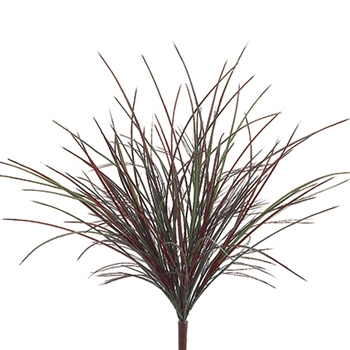 Bush Burgundy/Green Grass