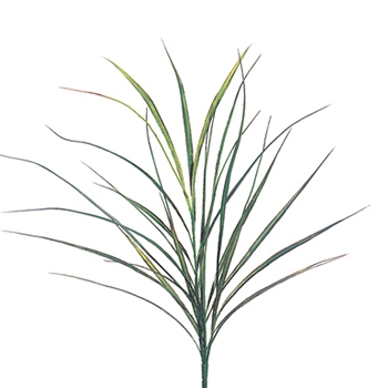 Miscant Green Grass Spray