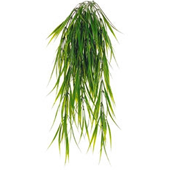 Hanging Green Grass