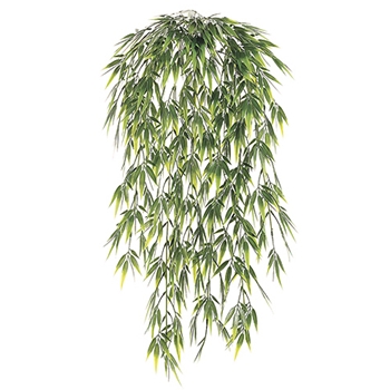 Hanging Bamboo Green Grass