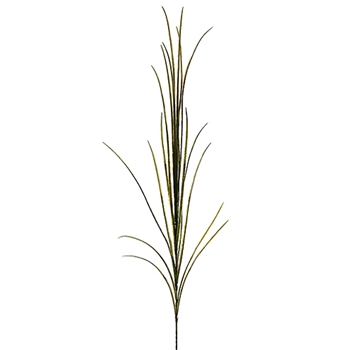 Miscanth Burgundy/Green Grass