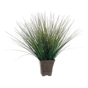 Desert Natural Grass w/ Pot