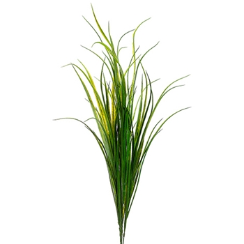Cane Bush Green Grass