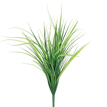 Miscant Green Grass