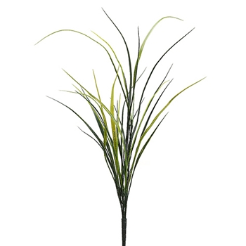 Miscanth Green Grass/29 Leaves