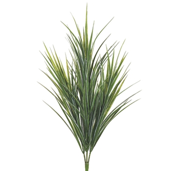 Dracaena White/Green Grass