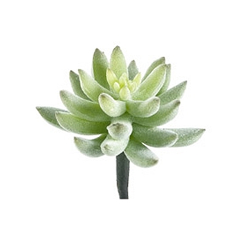 Agave Flocked Celedon Succulent