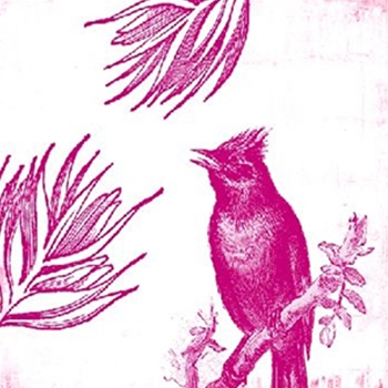 Sweetness II Pink (16in x 16in)