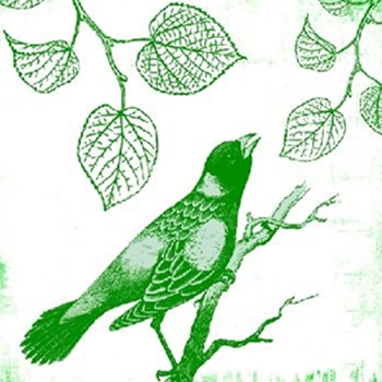Sweetness III Green (16in x 16in)
