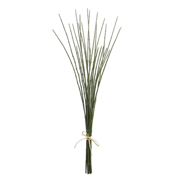 Bamboo Green Stalk 27in