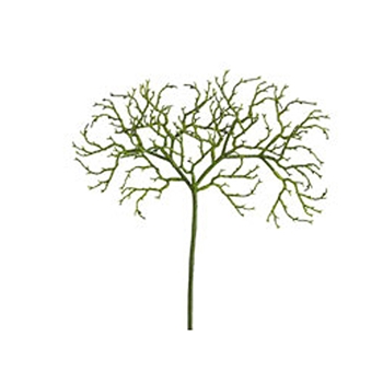 African Fan Green Branch 18in