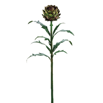 Artichoke w/ Leaf Natural Stem 26in