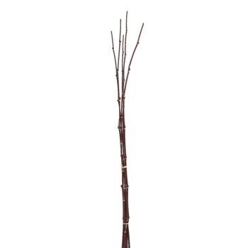 Bamboo Burgundy Stalk/5 Stems 38in