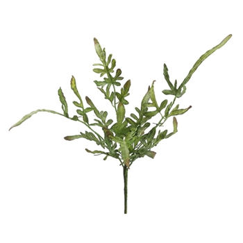 Lace Natural Fern 15in