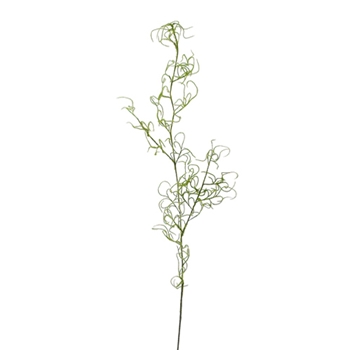 Curly Moss Natural Fern 48in