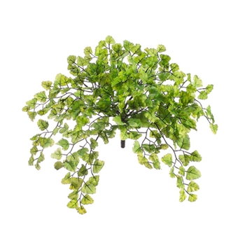 Maidenhair Green Fern 15in