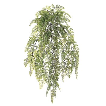 Maidenhair Black/Green Fern 32in