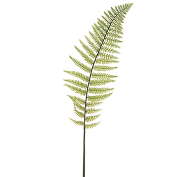 Leather Green Fern 45in