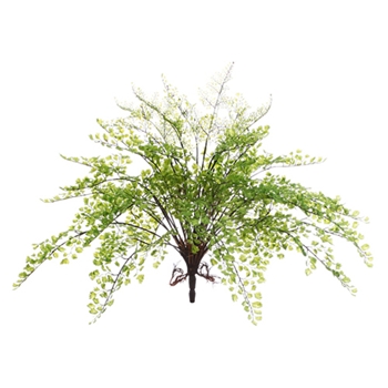 Maidenhair Green Fern 16in