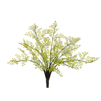 Maidenhair Green Fern 11in