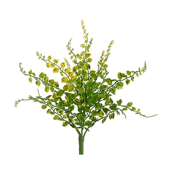 Buttonleaf Green Fern 11in