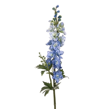 Delphinium WP 35in