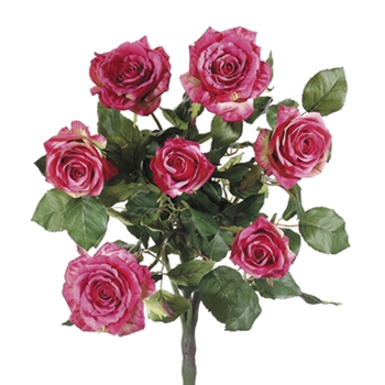 Confetti Rose/ 7 Heads 21in