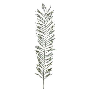 Fern Frond 52in