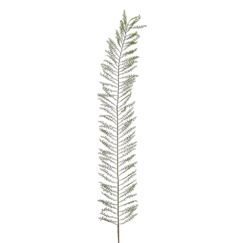 Fern Frond 62in