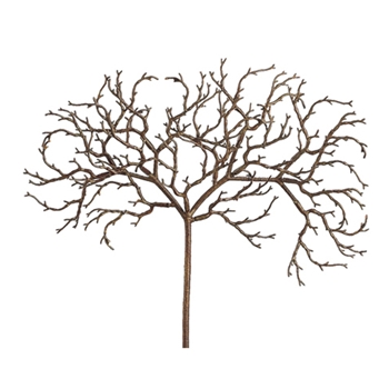 African Twig 18in