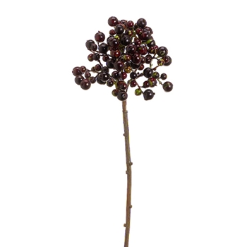 Berry Cluster 20in