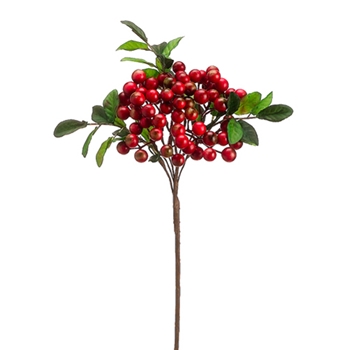 Berry Cluster 16in