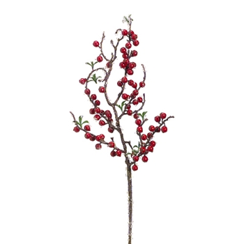 Berry Branch Iced 20in