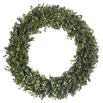 Boxwood Wreath (Preserved) 30in