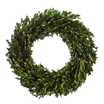 Boxwood Wreath (Preserved) 20in