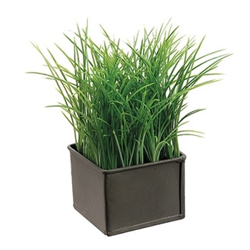 Grass Box 7in