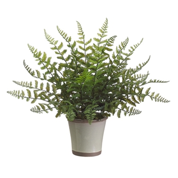 Leather Fern 14in