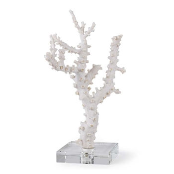 Octypus Coral