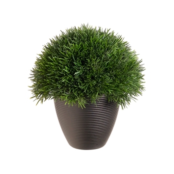 Grass Dome Topiary/Potted 11in