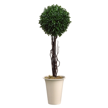 Boxwood Ball Topiary 24in
