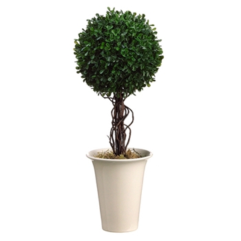 Boxwood Leaf Ball Topiary 18in