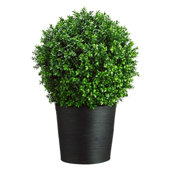 Boxwood Leaf Ball Topiary 30in
