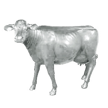 Life Size Cow