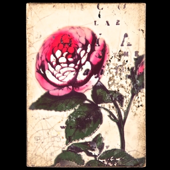 2013 Spring Collection/ Rose
