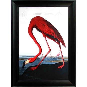 Flamingo 50W/70H
