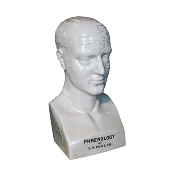 Phrenology Head - Terms