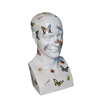 Phrenology Head - Butterflies