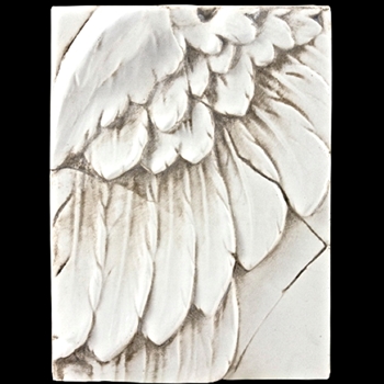 Angel Wings (T05)