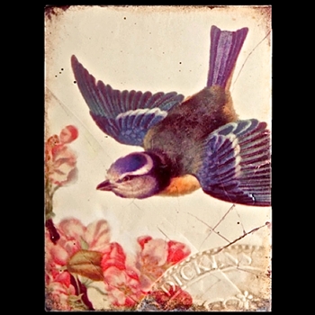 2010 Collection - Harmony